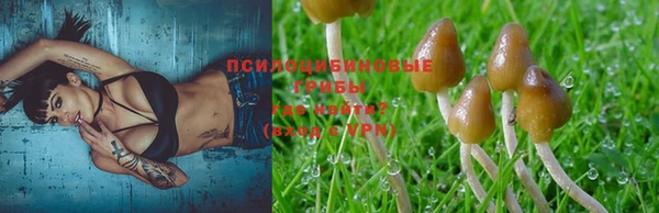 героин Белокуриха