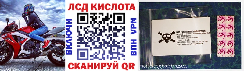 цены   KRAKEN   Марки NBOMe 1500мкг  Кодинск 